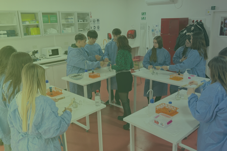 Aula modelo Materias virtuales