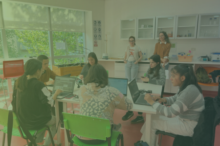 Aula modelo Materias virtuales