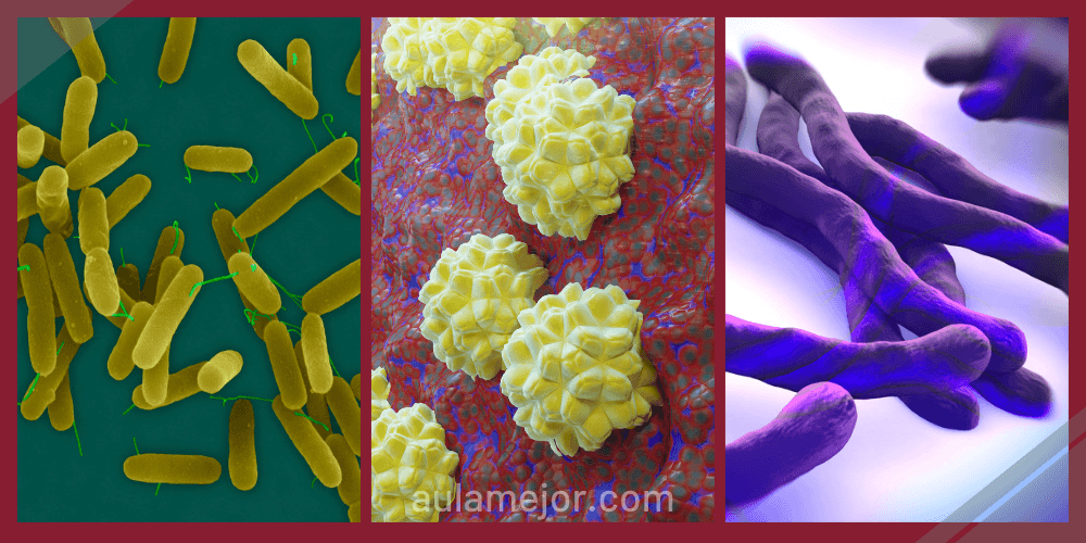 Microbiología