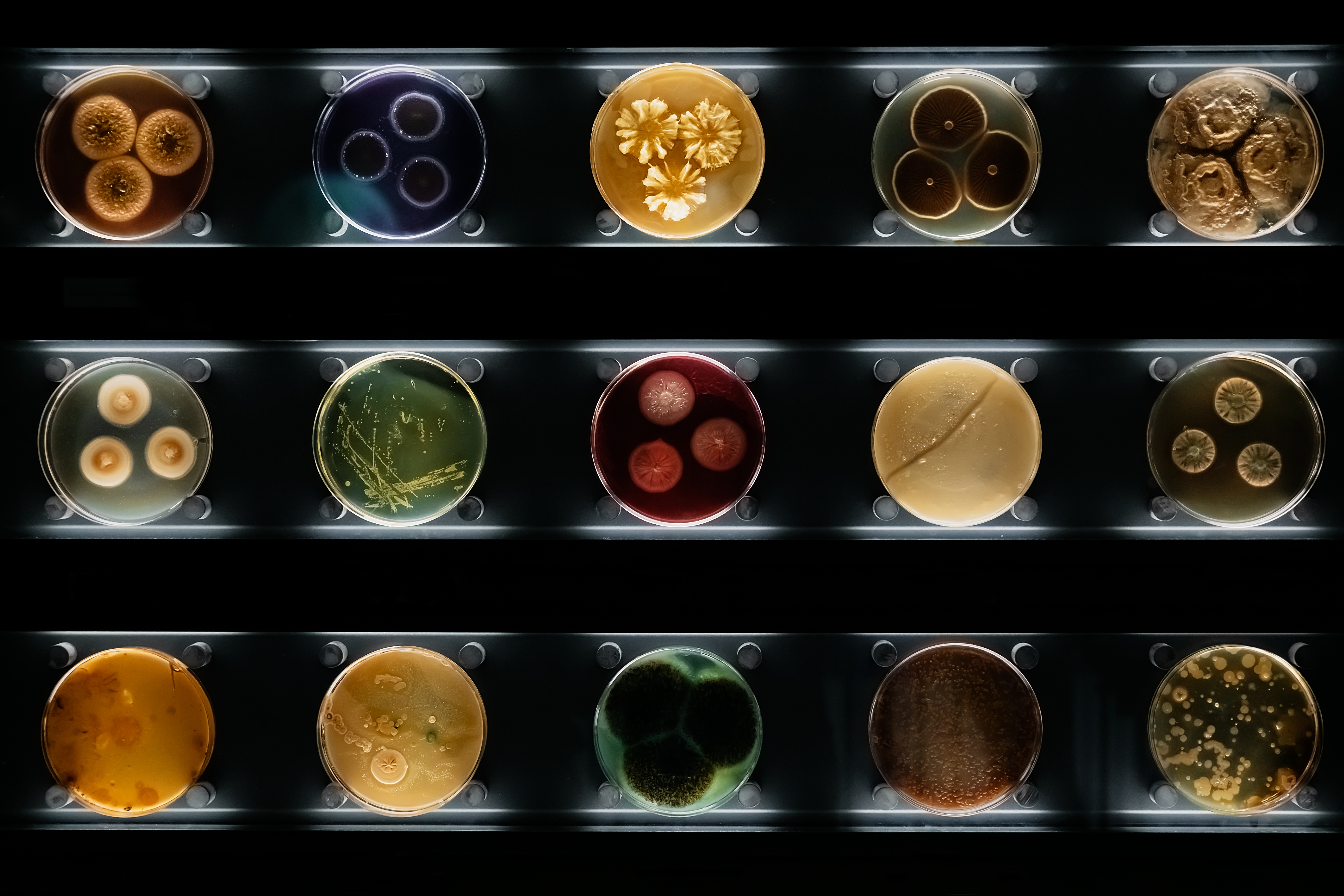 Microbiología Agrícola